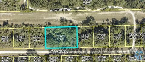 4207 E 31st St, Alva, FL 33920 photo 2
