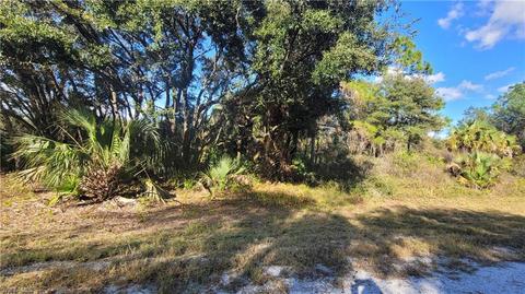 4207 E 31st St, Alva, FL 33920