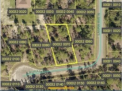 3010 Laura Ct, Lehigh Acres, FL 33971
