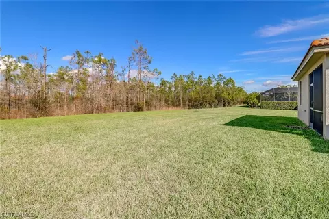 13534 Messino Ct, Estero, FL 33928 photo 27