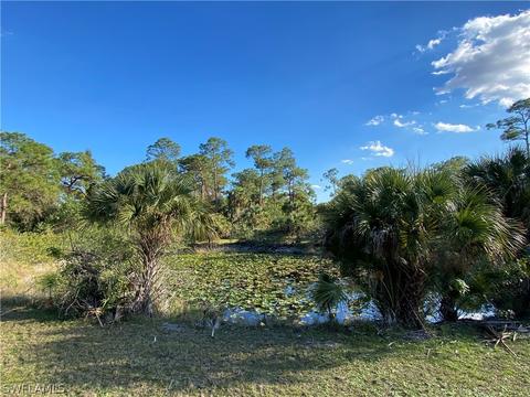 2045 Phillips Rd, Fort Denaud, FL 33935 photo 26
