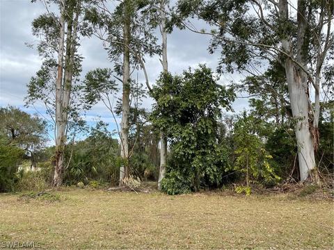 984 Nobles Rd, Labelle, FL 33935 photo 7