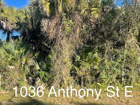 1036 Anthony St E, Lehigh Acres, FL 33974 photo 1
