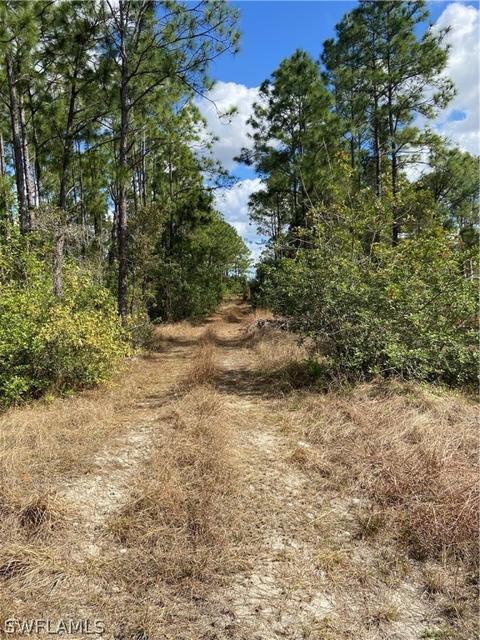 7572 2nd Ter, Labelle, FL 33935 photo 4