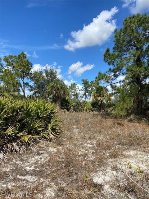 7572 2nd Ter, Labelle, FL 33935 photo 3