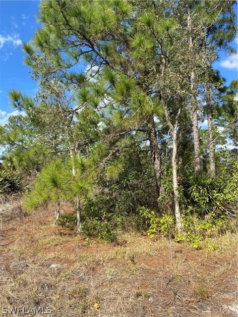 7572 2nd Ter, Labelle, FL 33935 photo 2