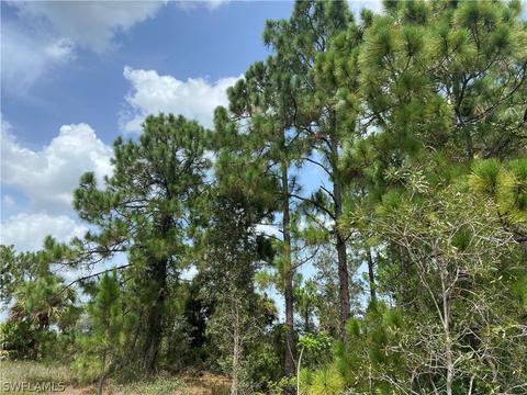 7572 2nd Ter, Labelle, FL 33935 photo 6