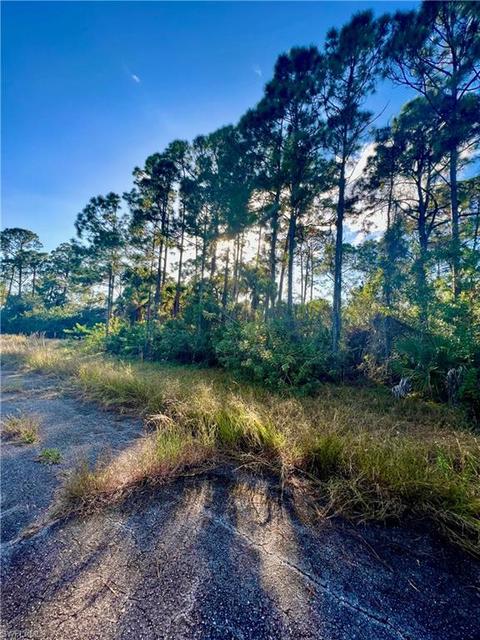 1026 Codey Ave, Labelle, FL 33935 photo 7