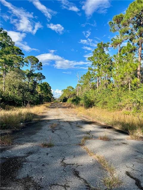 1026 Codey Ave, Labelle, FL 33935 photo 5