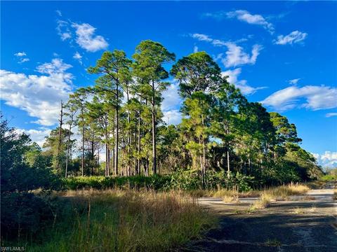 1026 Codey Ave, Labelle, FL 33935 photo 1