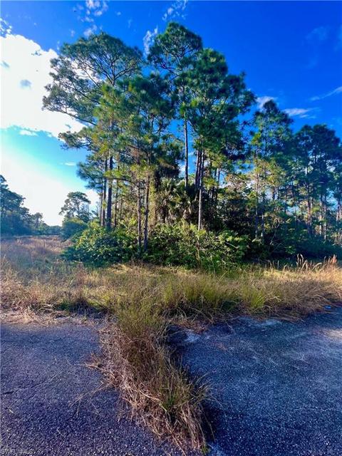 1026 Codey Ave, Labelle, FL 33935 photo 4