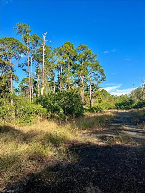 1026 Codey Ave, Labelle, FL 33935 photo 3