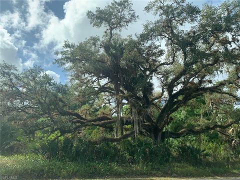 2001 County Rd 78, Labelle, FL 33935 photo 6
