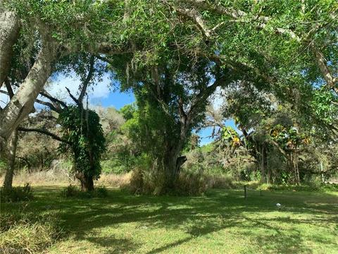 2001 County Rd 78, Labelle, FL 33935 photo 3