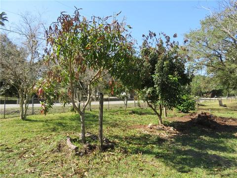 840 Evans Rd, Labelle, FL 33935 photo 12