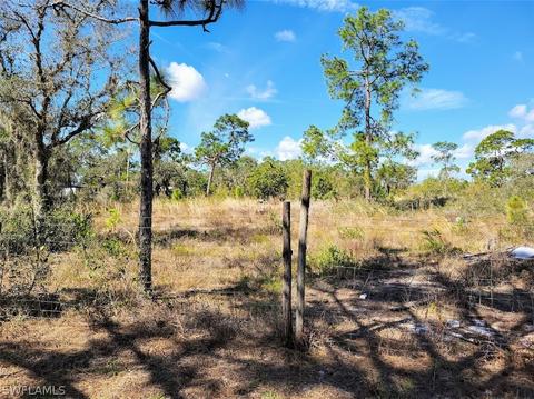 2241 Summerall Rd, Labelle, FL 33935 photo 11
