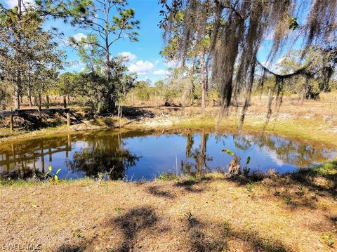 2241 Summerall Rd, Labelle, FL 33935 photo 10