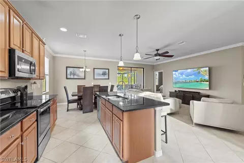 20528 Black Tree Ln, Estero, FL 33928 photo 10