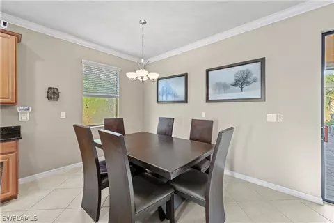 20528 Black Tree Ln, Estero, FL 33928 photo 12