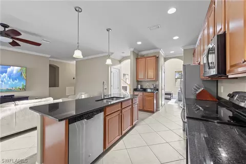 20528 Black Tree Ln, Estero, FL 33928 photo 11