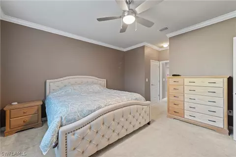 20528 Black Tree Ln, Estero, FL 33928 photo 14
