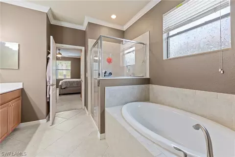 20528 Black Tree Ln, Estero, FL 33928 photo 16