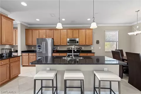 20528 Black Tree Ln, Estero, FL 33928 photo 9