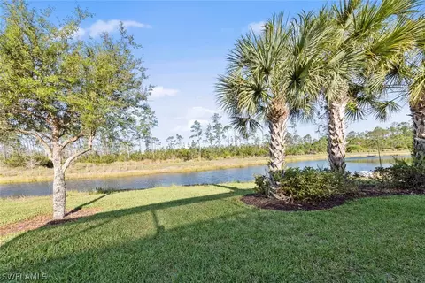 20528 Black Tree Ln, Estero, FL 33928 photo 4