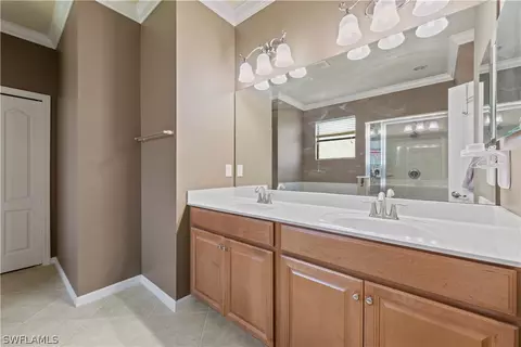 20528 Black Tree Ln, Estero, FL 33928 photo 15