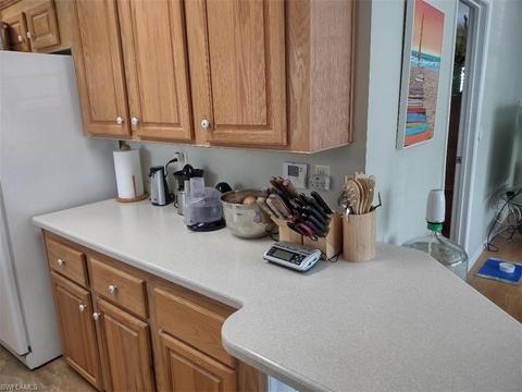 10941 Brown Pelican Cir, Estero, FL 33928 photo 11