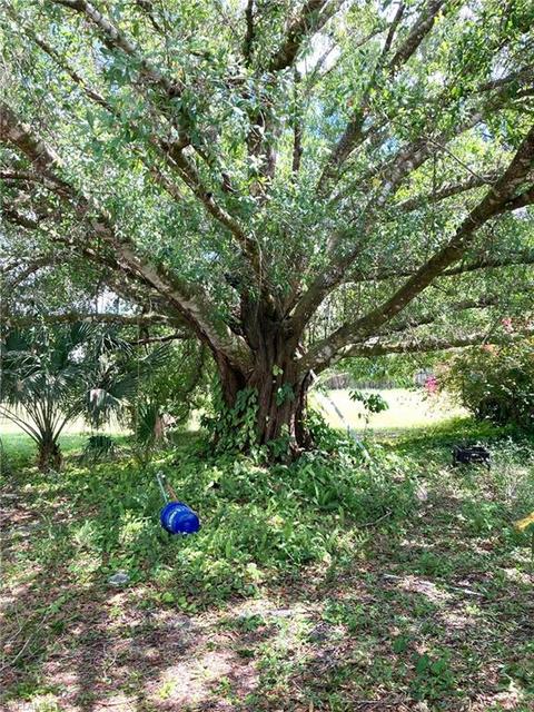 255 Wilson Rd, Labelle, FL 33935 photo 10