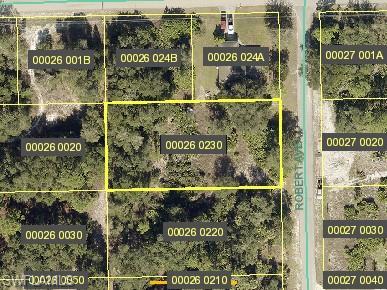 2221 Robert Ave, Alva, FL 33920 photo 5