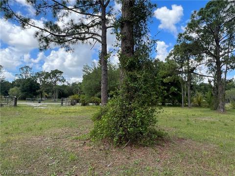 880 Evans Rd, Labelle, FL 33935 photo 5