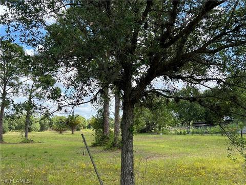 880 Evans Rd, Labelle, FL 33935 photo 6