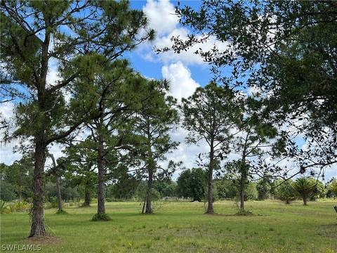 880 Evans Rd, Labelle, FL 33935 photo 4
