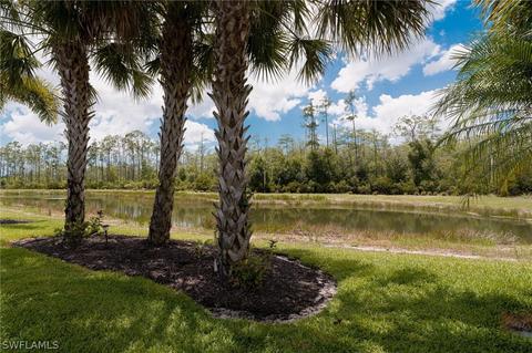 20320 Black Tree Ln, Estero, FL 33928 photo 20