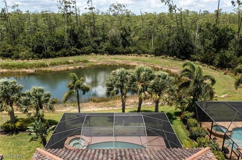 20320 Black Tree Ln, Estero, FL 33928 photo 9