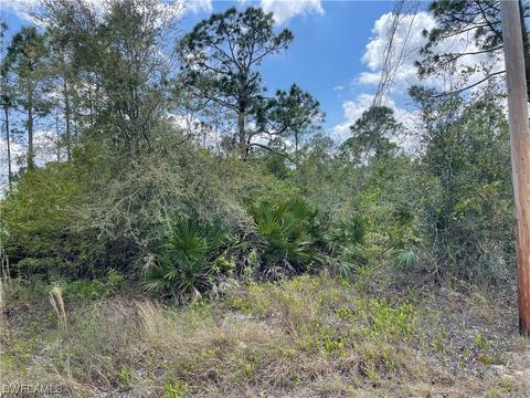 1242 Randolph St, Lehigh Acres, FL 33974