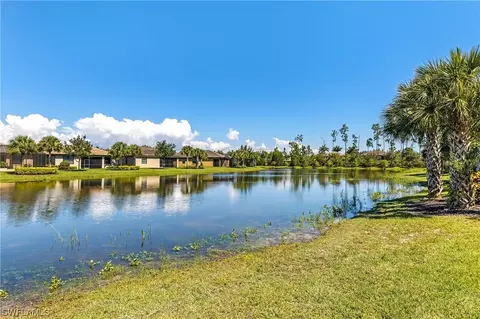 20513 Black Tree Ln, Estero, FL 33928 photo 30