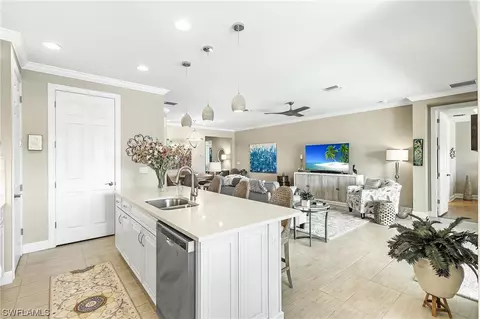 20513 Black Tree Ln, Estero, FL 33928 photo 14
