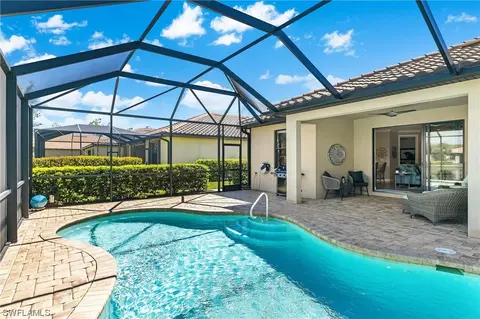 20513 Black Tree Ln, Estero, FL 33928 photo 27