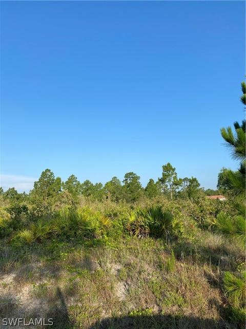 305 Louis Ave, Lehigh Acres, FL 33936
