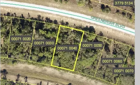 423 Greenbriar Blvd, Lehigh Acres, FL 33972