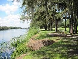 421 Jonquil Dr, Labelle, FL 33935 photo 7