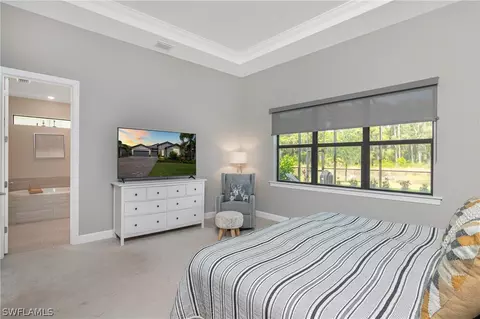 19214 Mesic Ln, Estero, FL 33928 photo 11