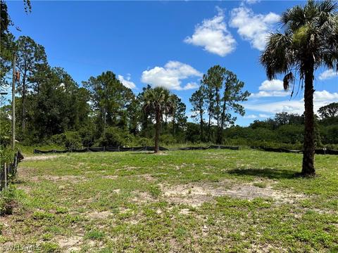 3203 E 20th St, Alva, FL 33920 photo 11