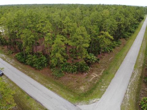 3100 E 22nd St, Alva, FL 33920 photo 3