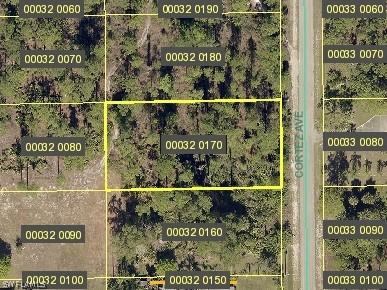 1009 Cortez Ave, Lehigh Acres, FL 33972