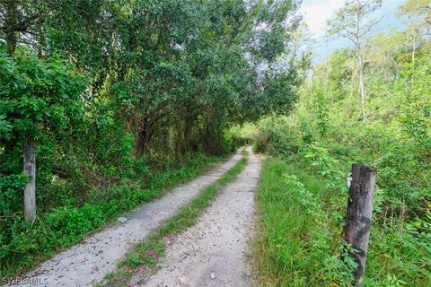1175 Case Rd, Labelle, FL 33935 photo 13