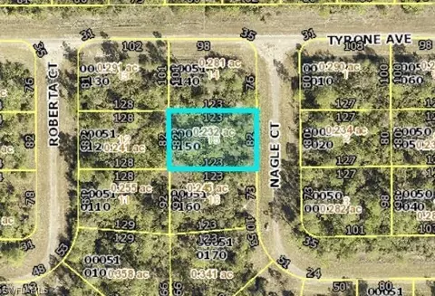 313 Nagle Ct, Lehigh Acres, FL 33972